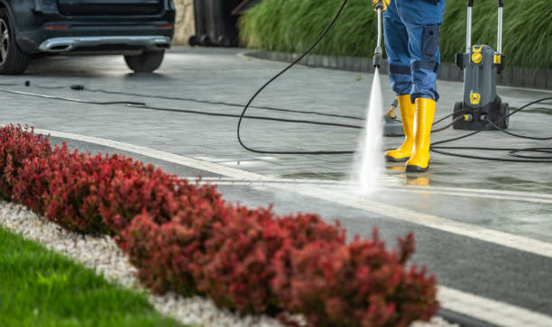 Best House Exterior Washing  in Freeport, TX